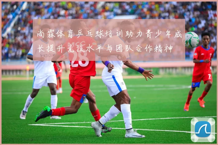 尚霖体育乒乓球培训助力青少年成长提升竞技水平与团队合作精神