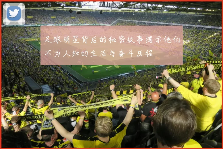 足球明星背后的秘密故事揭示他们不为人知的生活与奋斗历程
